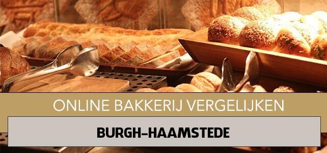 online bakkerij Burgh-Haamstede