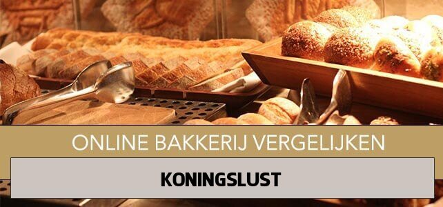 online bakkerij Koningslust